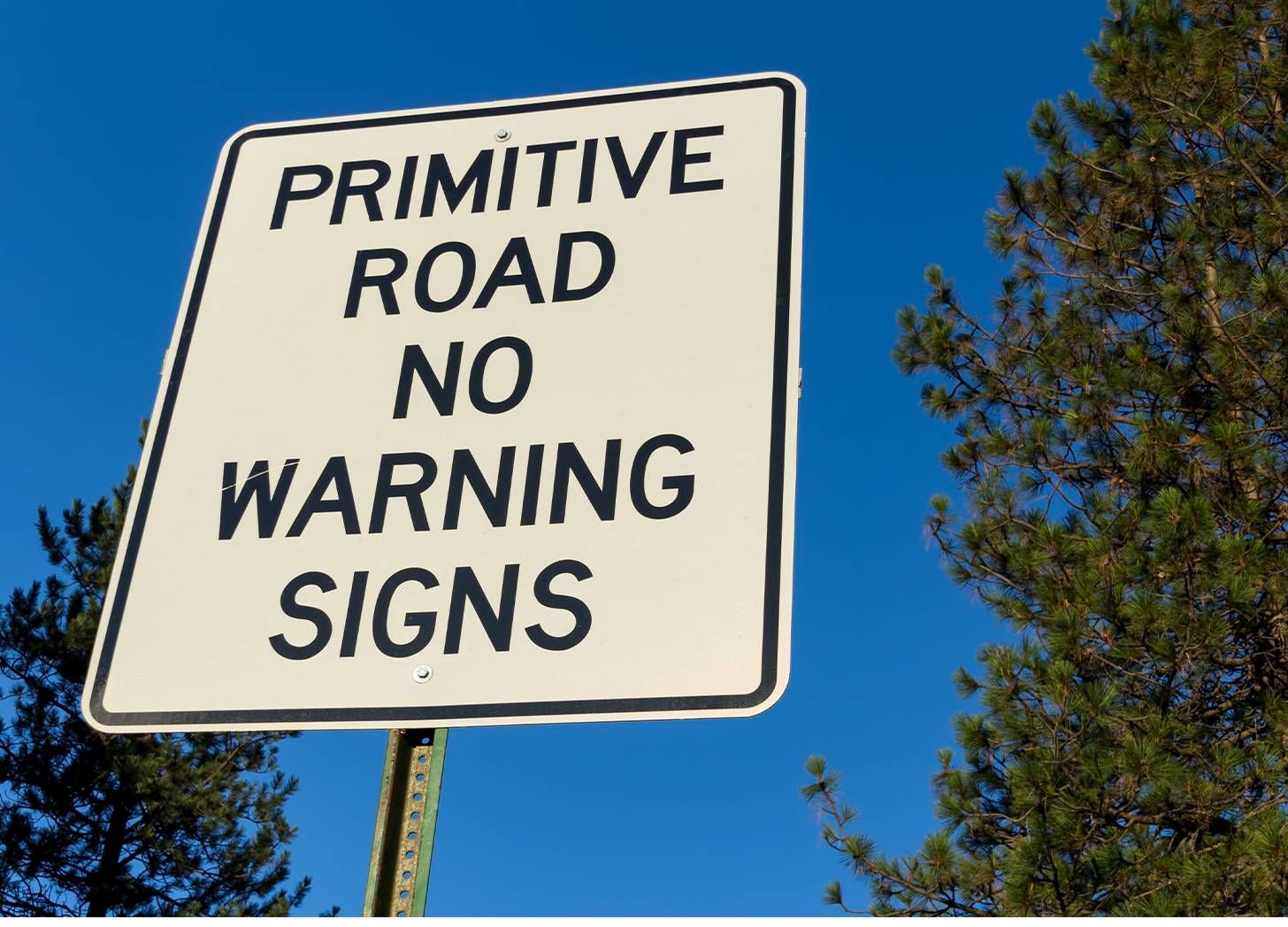 Road sign in a rural landscape reading PRIMITIVE ROAD — NO WARNING SIGNS.