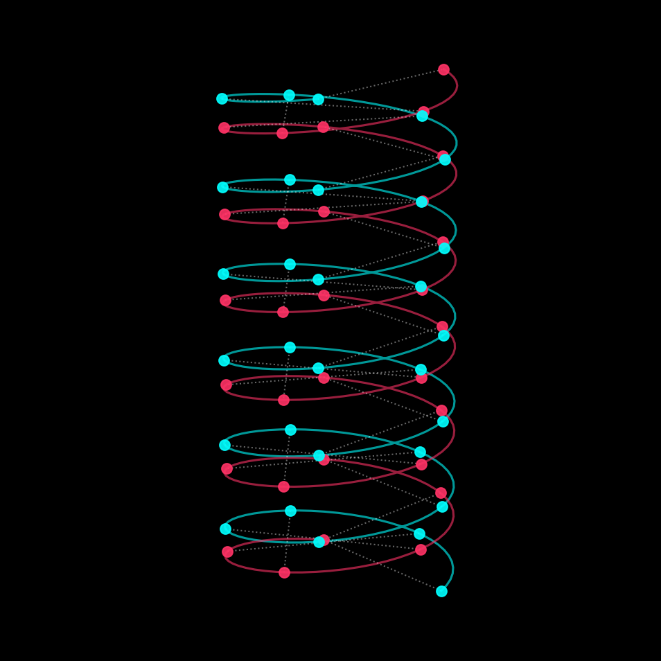 Three-dimensional plot on black of two helical strands, cyan and magenta, with dotted white rungs joining paired nodes along the vertical axis