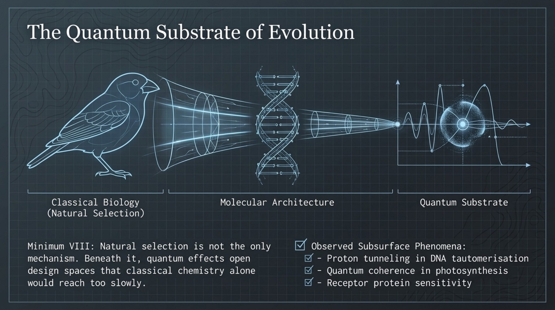 Progression from classical biology to molecular architecture to a quantum substrate, listing proton tunneling, photosynthetic coherence, and receptor sensitivity.