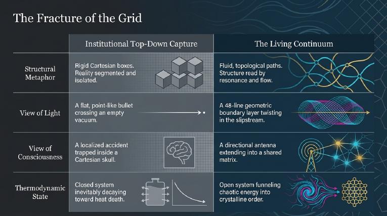 Plate 6: The fracture of the grid
