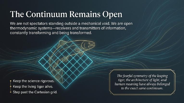 Plate 14: The continuum remains open