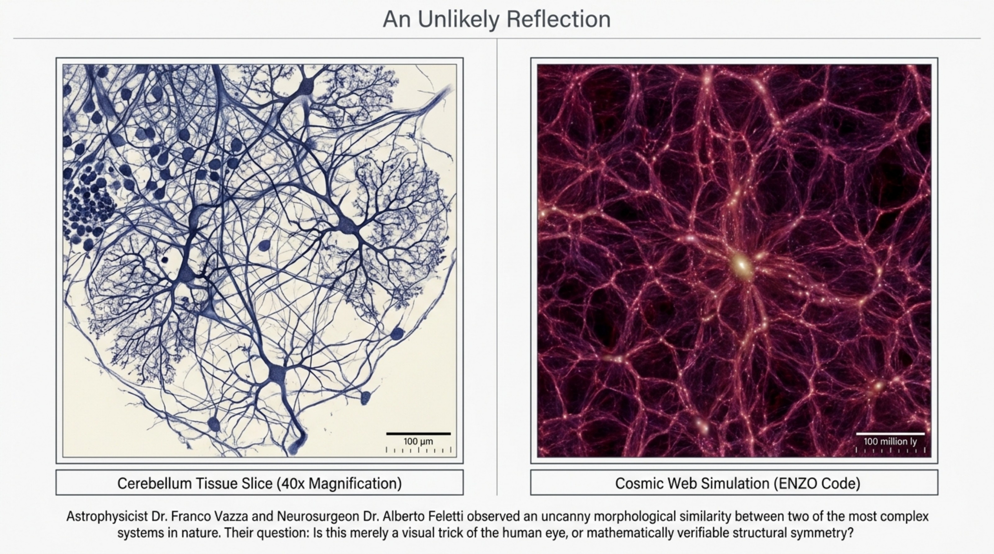 Slide 2 — An Unlikely Reflection