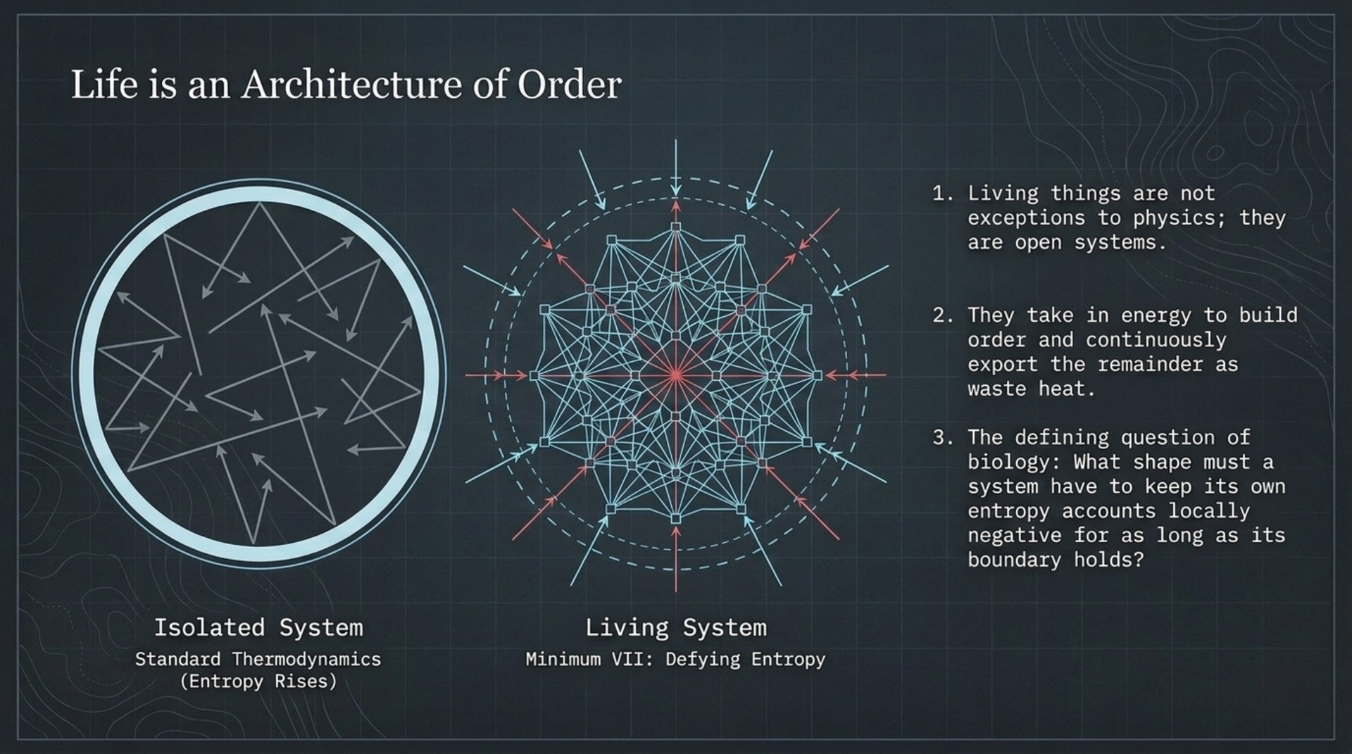 Comparison of an isolated system with chaotic internal arrows and a living open system exporting waste heat.