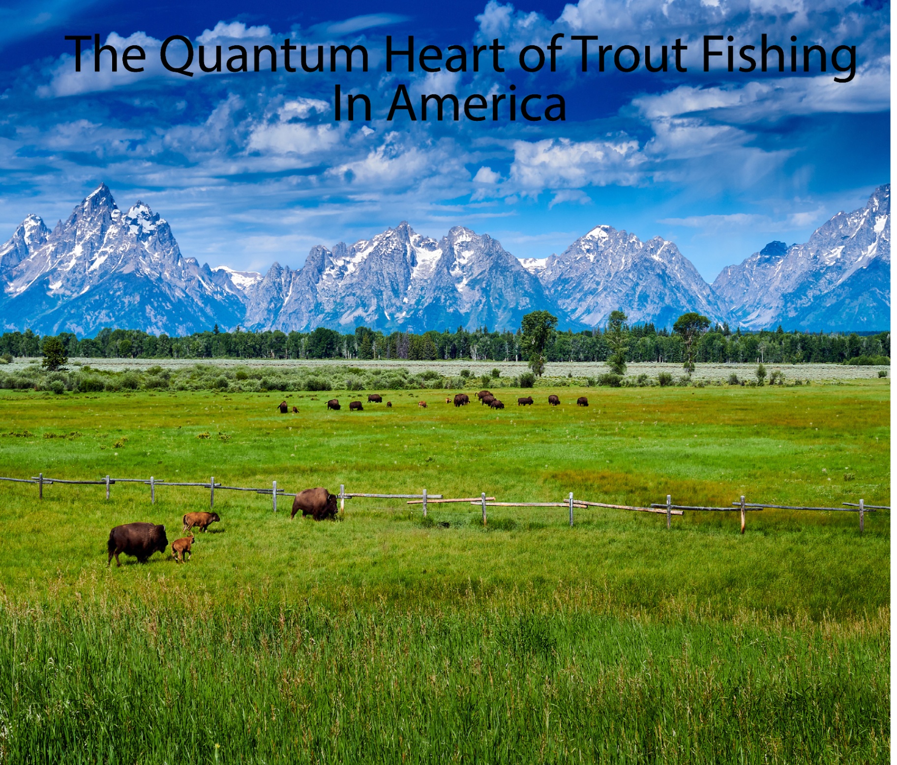 Bison grazing beneath the Grand Tetons under a cumulus sky