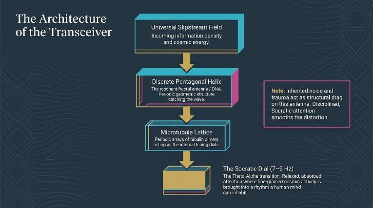 Plate 10: The architecture of the transceiver