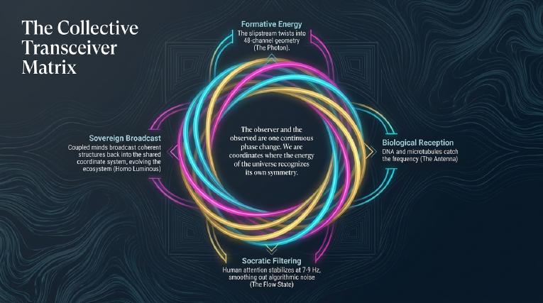 Plate 11: The collective transceiver matrix