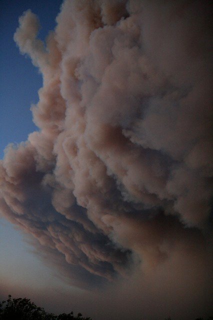 A towering pyrocumulus smoke column rising against a clear evening sky over silhouetted trees.