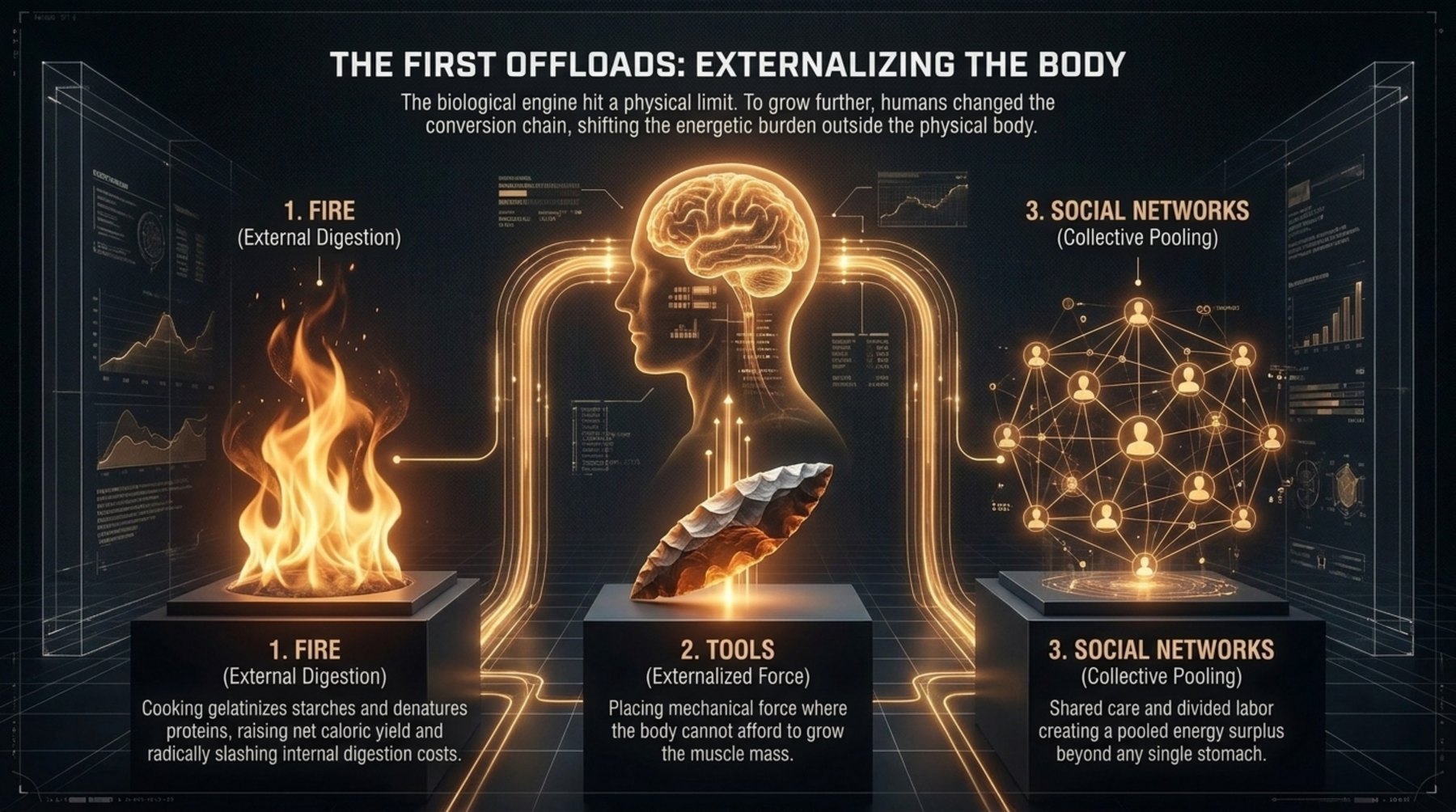 Three-panel diagram of the first offloads: fire as external digestion, tools as externalised force, and social networks as collective energy pooling.