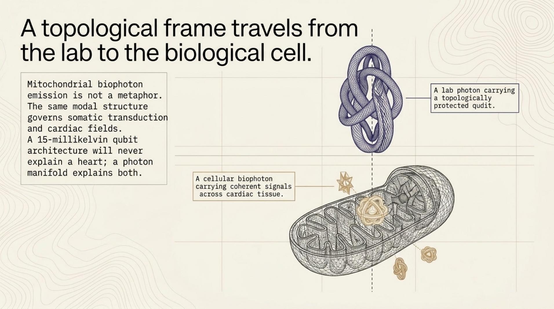 Slide 7: From Lab to Cell