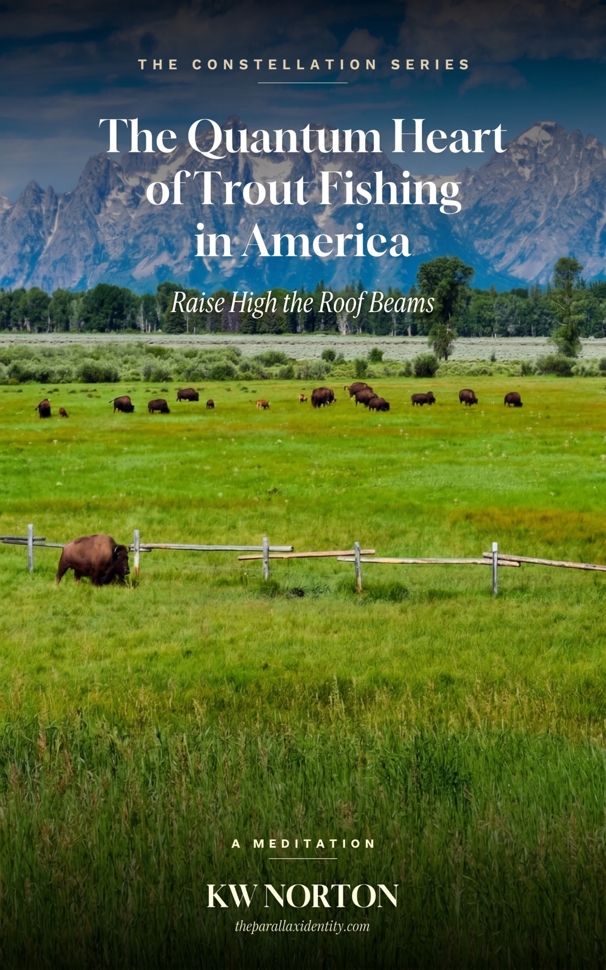 Cover of The Quantum Heart of Trout Fishing in America: Teton mountains, bison in a green valley, and the title in gold